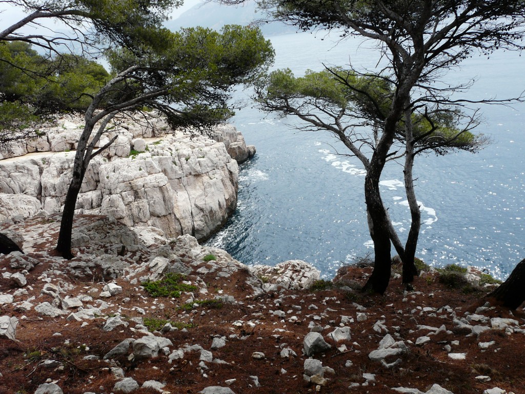 Cassis, 29-05-08, 11-18.jpg